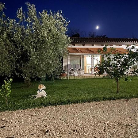 Villetta Bianca Pisticci-Matera المظهر الخارجي الصورة